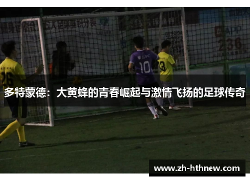 多特蒙德：大黄蜂的青春崛起与激情飞扬的足球传奇